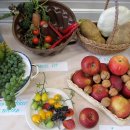 Výstava ovoce a zeleniny 2012