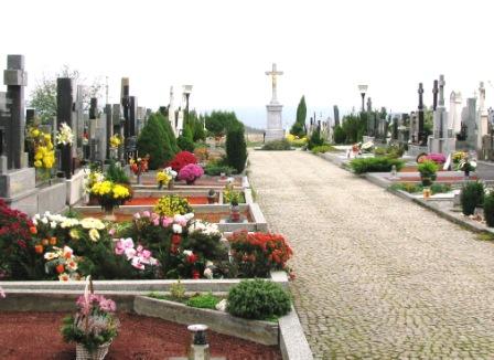 Hřbitov 2014